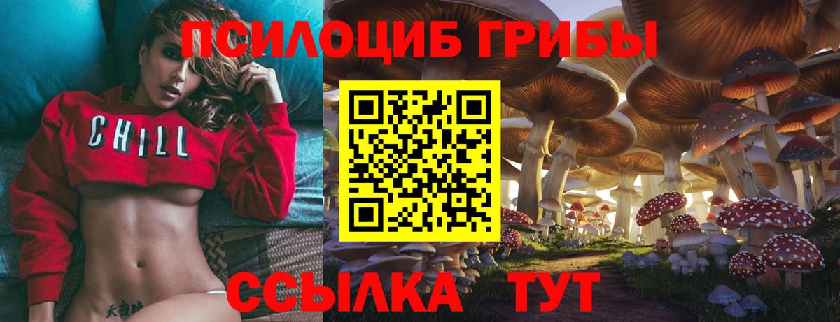 Псилоцибиновые грибы MAGIC MUSHROOMS Кингисепп