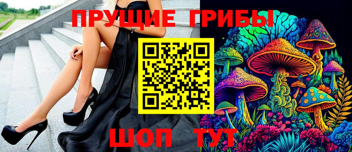 Кингисепп  Галлюциногенные грибы MAGIC MUSHROOMS  Вход с VPN  Псилоцибиновые грибы Magic Shrooms 